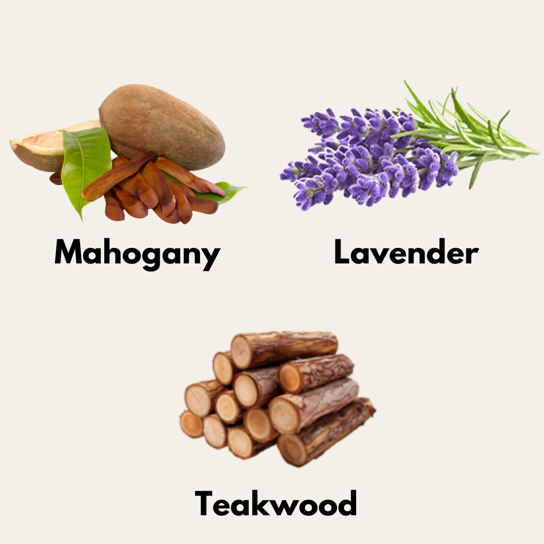 Nuha Scents Candle - Cozy Corner