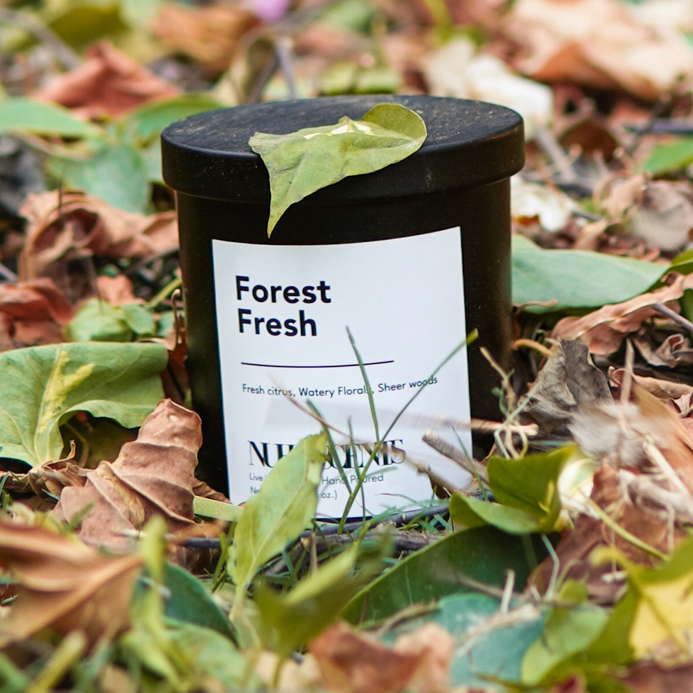 Nuha Scents Candle - Forest Fresh